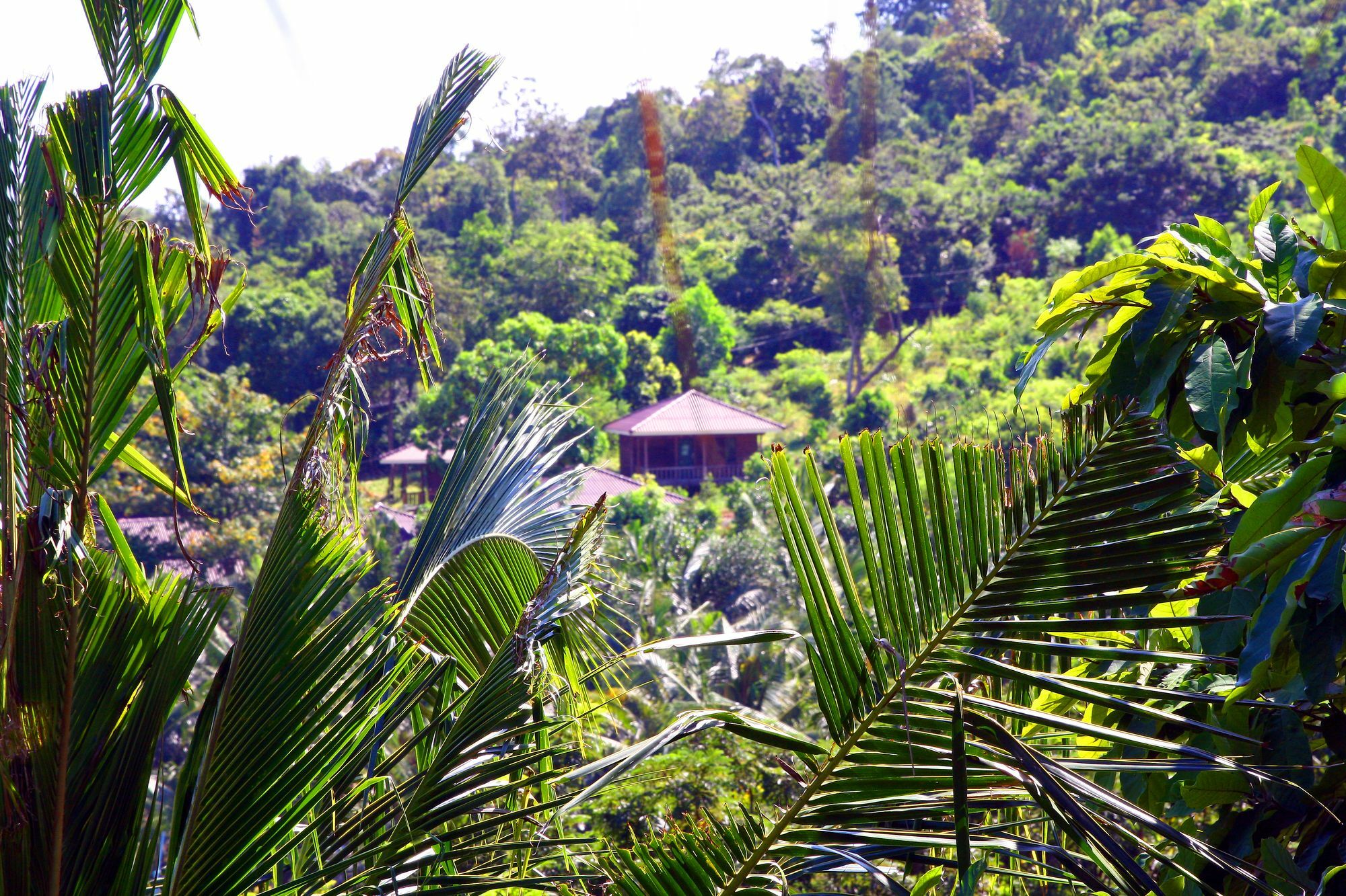 Coco Boutique Resort Kaoh Touch Eksteriør bilde